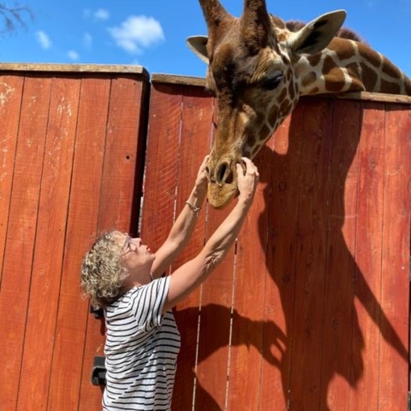 Meet your Posher, Connie jean - Picture 1 of 1